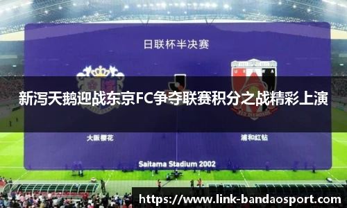 新泻天鹅迎战东京FC争夺联赛积分之战精彩上演